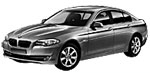 BMW F10 P17AA Fault Code